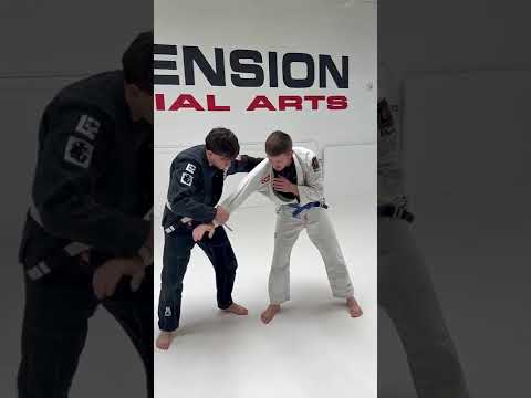 8/18/25  Lapel grip break with Tani Atoshi