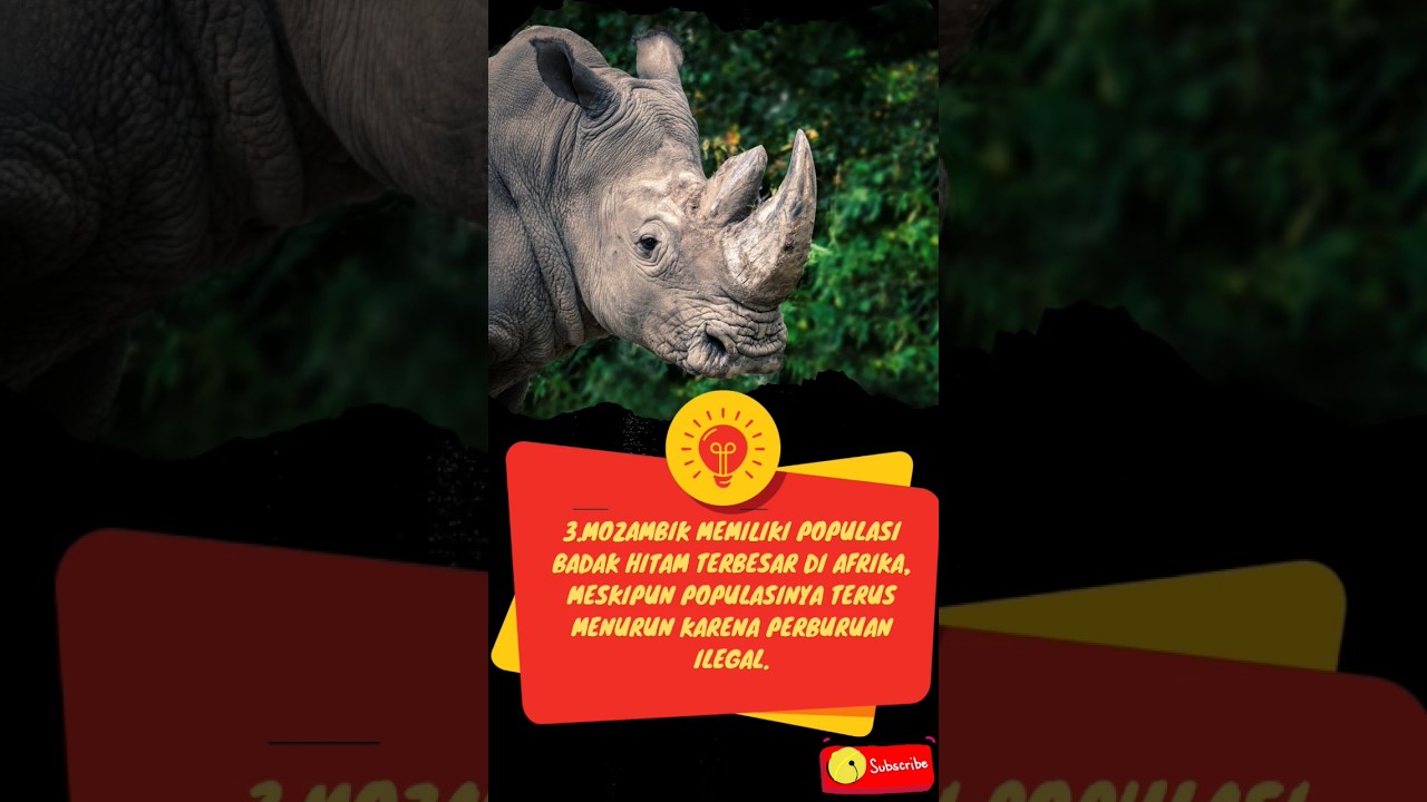 5 FAKTA UNIK NEGARA MOZAMBIK 🇲🇿 #shorts #youtubeshorts #faktaunik #mozambique