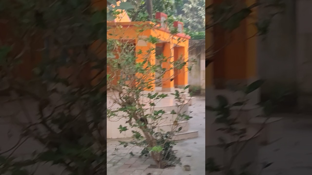 My height growth 📈 series 