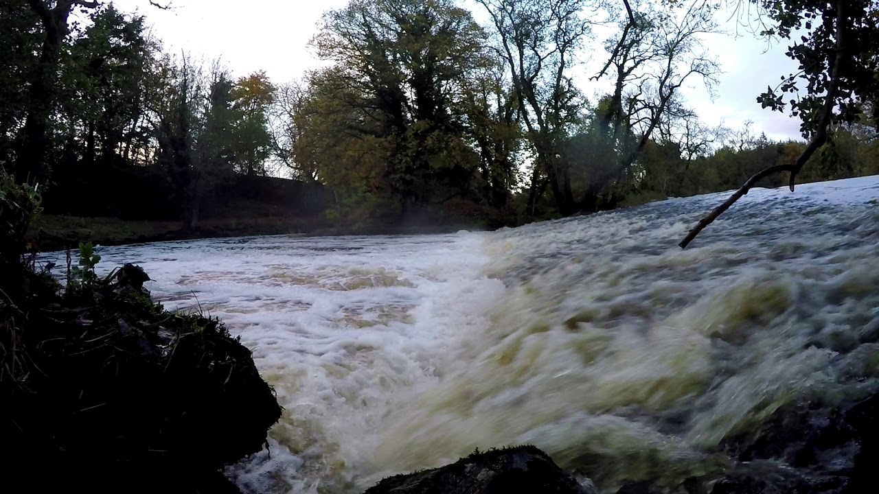 Dollaghan trout migration - YouTube