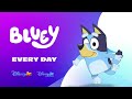 Disney Jr US Night Continuity July 16 2025 Disney Jr US Night Continuity July 16 2025