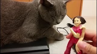 今話題のSPEEDが邪魔猫をどかす！不倫問題についても語る！