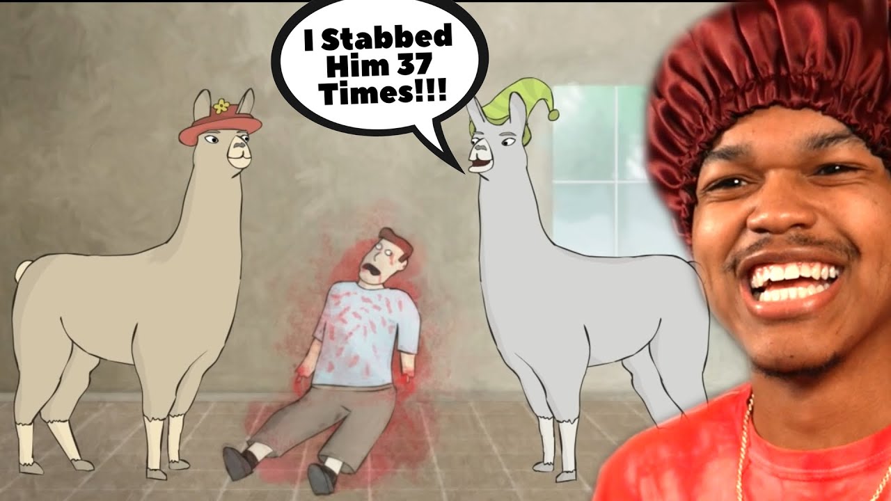 this-is-a-cinematic-masterpiece-llama-in-hats-the-complete-series