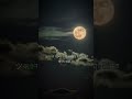 Islamic lecture vedio #shortvideo#islamicstories***"""~