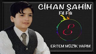 Cihan Şahin - Fil Fili Resimi