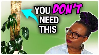 10 Houseplants That DON'T Need a Moss Pole!! by The Leca Queen 5,991 views 1 month ago 20 minutes