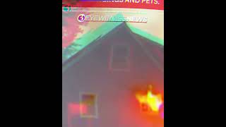 Dog Accidentally Starts House Fire! 🐾🔥 (Heartbreaking Rescue) #dbrown2821