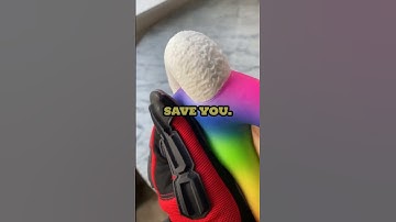 Stop Scrolling NOW! Hustle or Get Left Behind 🔥