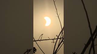 Solar eclipse view π 2026 π¬π§ #peace #solareclipse