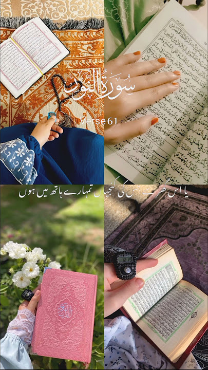 Surah An-Nur🌸 #quranictranslation#quranrecitation#qurantilawat #1000subscriber#ytshort#quransurah