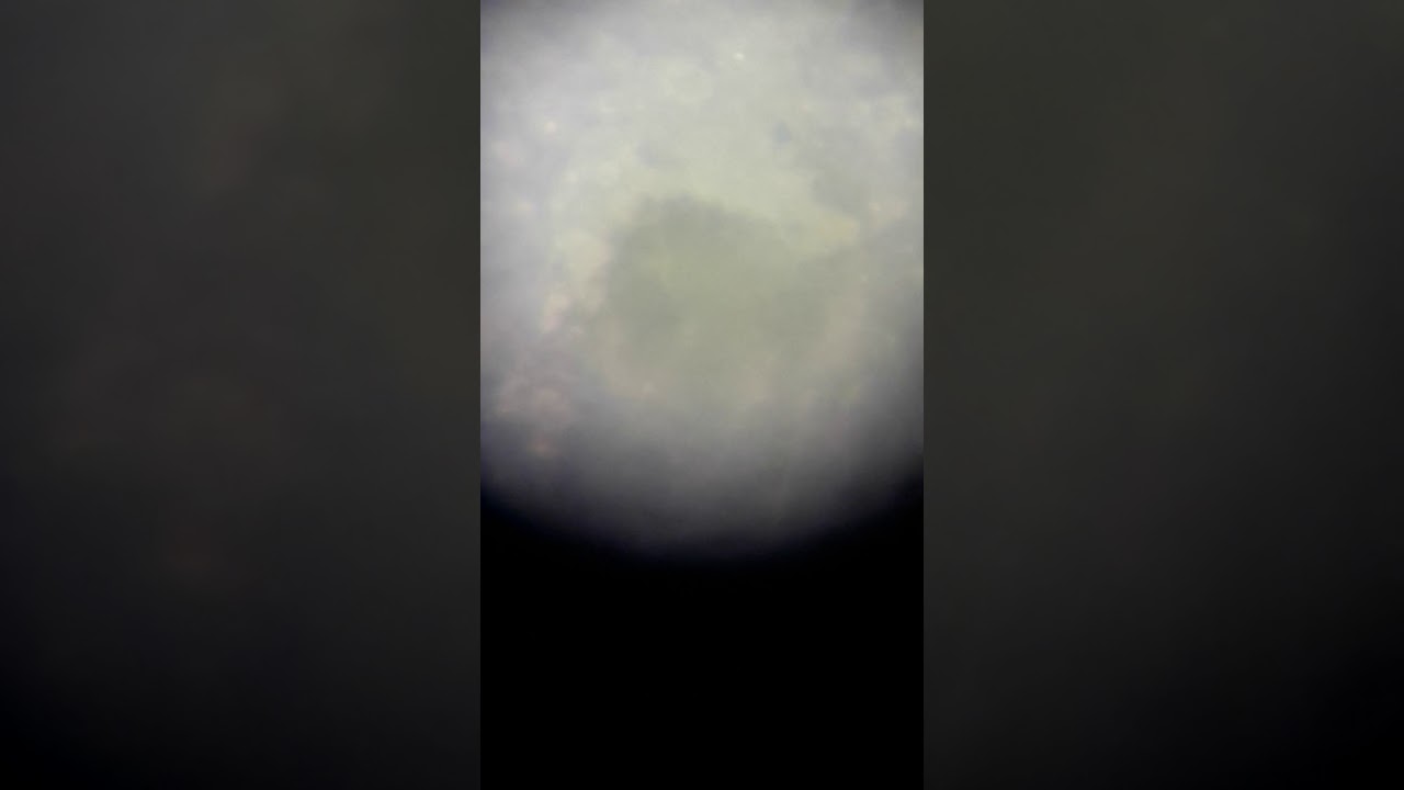 Moon before 16th july 2019 eclipse