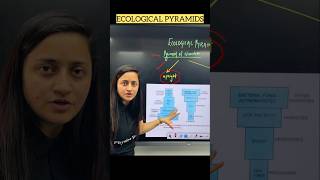 ECOLOGICAL PYRAMIDS🔥| NEET 2026 #NEET2026