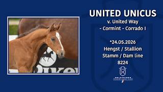 Holsteiner Elite-Fohlenauktion in Elmshorn 2026 | Nr. 38 v. United Way - Cormint