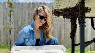 Saving a Swarm of Bees