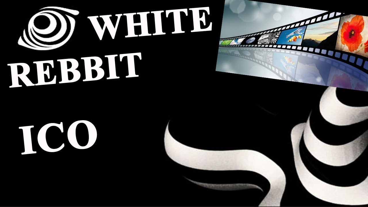 White Rabbit - новый IT-стартап. Предстоящее ICO 2018 - YouTube
