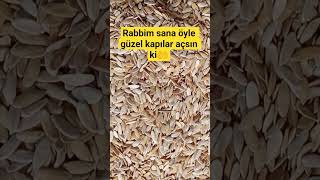 Rabbim Sana Öyle Güzel Kapılar Açsınki