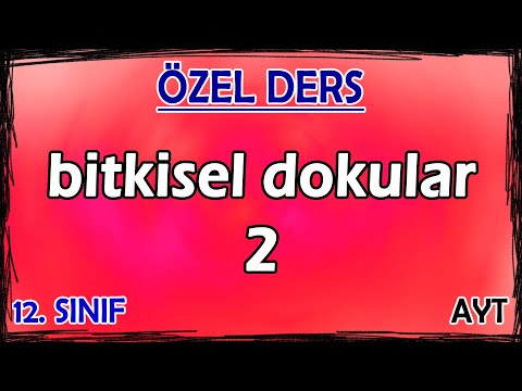 17) Bitkisel Dokular 2 - Özel Ders (12. Sınıf)