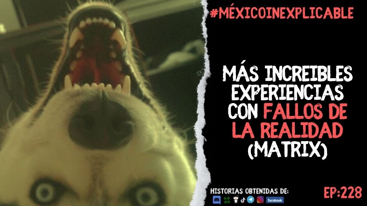 Más Increíbles HISTORIAS de FALLAS en la MATRIX #reddit - México ...