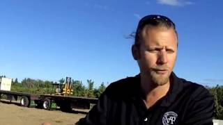 Van Ruiten 2013 Lodi Zinfandel Harvest