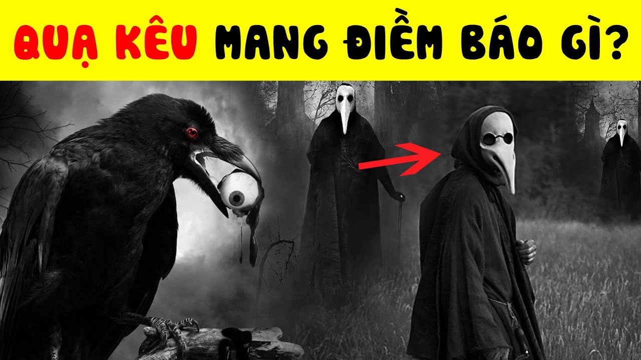 Chim Lợn Kêu Dự Báo Gì Và TOP 15 Câu Đố Bí Ẩn Về Quạ... - youtube