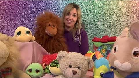 Meet the teacher! Here