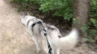 Anneberg Perimeter Trail