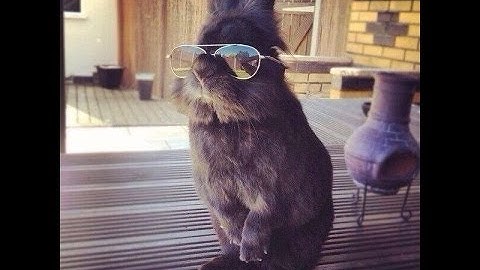 PHP Devel Studio 2.0 beta