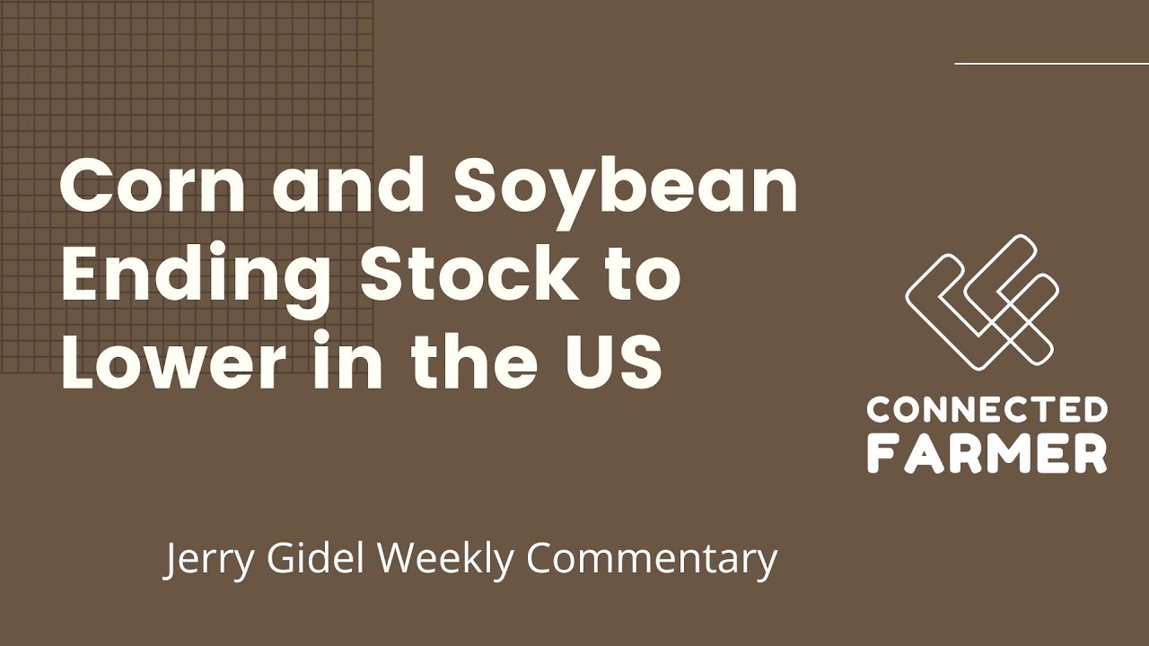 Corn and Soybean Ending Stocks to Lower in the US - YouTube
