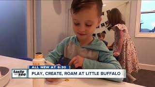 Play, create, and roam at Little Buffalo on Hertel Avenue
