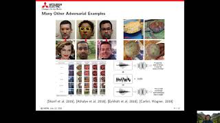 Famous (ISIT 2021) Robust Machine Learning via Privacy/Rate Distortion Theory Wealth