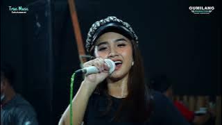 Melukis Senja Diors Fabdalena - Trias Music Wong Biasa Live Kiss Cafe