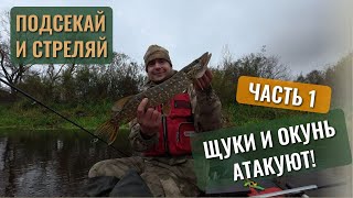 картинка: Подсекай и стреляй — Щука и окунь атакуют КОПЫТО, ЧАСТЬ 1! #5