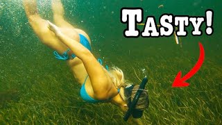 Hand Fishing For The Oceans Tastiest Critters In Tall Grassbeds!!! (Catch Clean Cook!!)