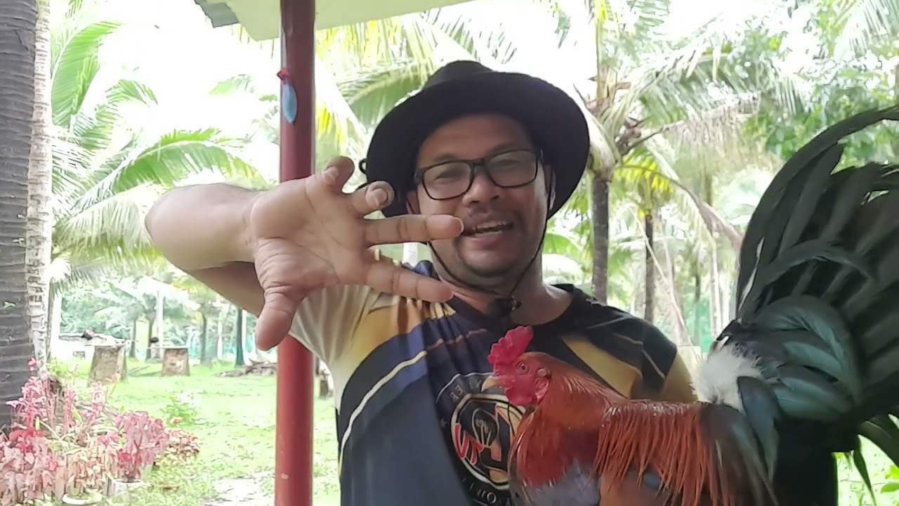 Bilog o Pahaba na Katawan