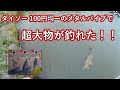 【神回】ダイソー100円ルアー メタルバイブレーションを投げたら池のヌシが釣れた！【DAISO】
