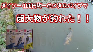 【神回】ダイソー100円ルアー メタルバイブレーションを投げたら池のヌシが釣れた！【DAISO】