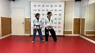 [Online Training] Tiny Tiger Ki bon Hyung No.5
