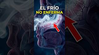 ❄️🦠¿El FRÍO realmente te ENFERMA? #shorts #frio #resfriados #gripe #curiosidades #ciencia #fyp