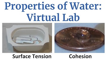 The Secret Life of Water: Amazing Properties Explained 💧