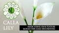 Video for Calla Lily Cakery