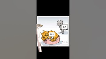 Sn2 Reaction Mechanisms Explained with Memes in under a Minute by a Shark