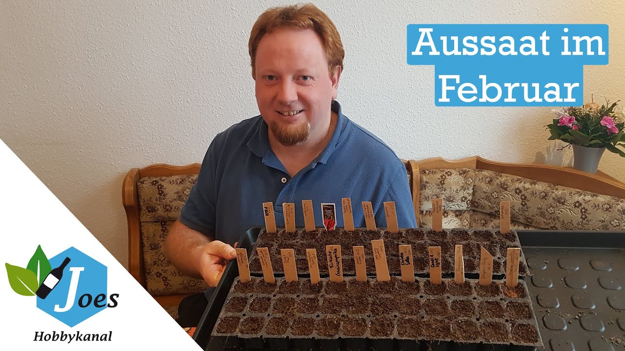 Aussaattipps Februar | Aussaat von Paprika, Kohl und Sellerie
