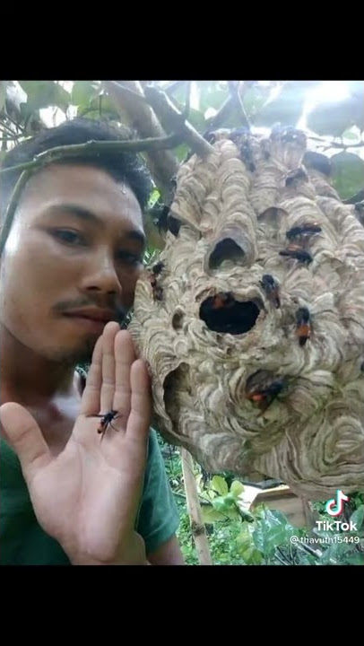 TINO TINO vidio lucu kocak #wkwkkwkwk