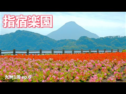 【九州1周】砂むしに絶景温泉に絶品カツオに最高のお茶!!最高すぎて気絶寸前!!｜指宿｜知覧｜ドライブ｜田舎暮らし｜鹿児島県｜4K
