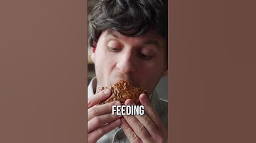 Increase Your Traffic by 52% - You Won