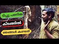 ടിപ്പു സുൽത്താൻ പണിത കിടങ്ങിൽ ഞങ്ങൾ കണ്ടത് | NiramKaitha Kotta | TravelGunia | Vlog 59