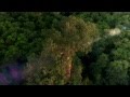Global Citizen: Common Ground (Environmental Sustainability)