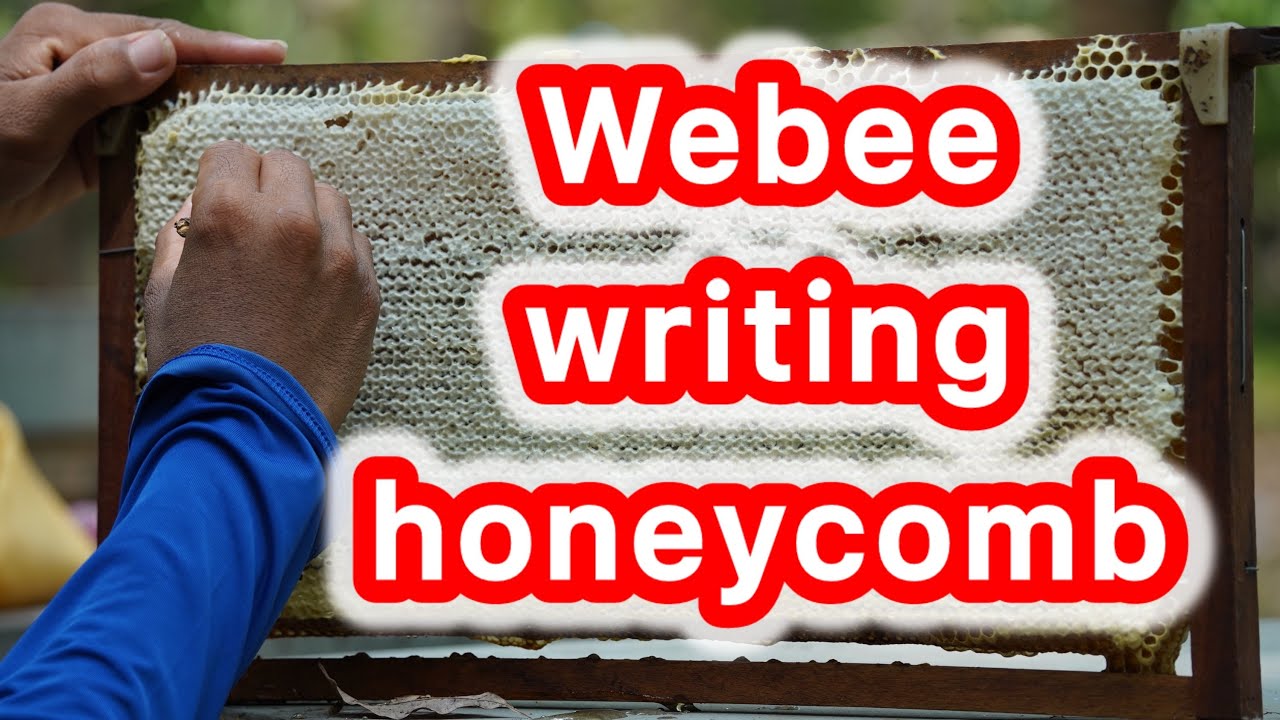 Raw Honey & Bee Art 🍯 Writing ‘Webee’ on a Honeycomb 🐝
