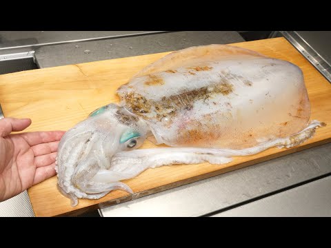 アオリイカのさばき方と刺身の作り方 硬い薄皮の剥ぎ方 Youtube