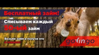 Gofingo Кредит Отзывы